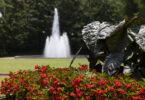 Flowers bloom at Herty Field with the fountain flowing in the background
