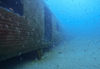 MARTA Rail Cars deployed as artificial reefs on L Reef off the coast of Georgia. Captured seven months after deployment by GA Department of Natural Resources divers.